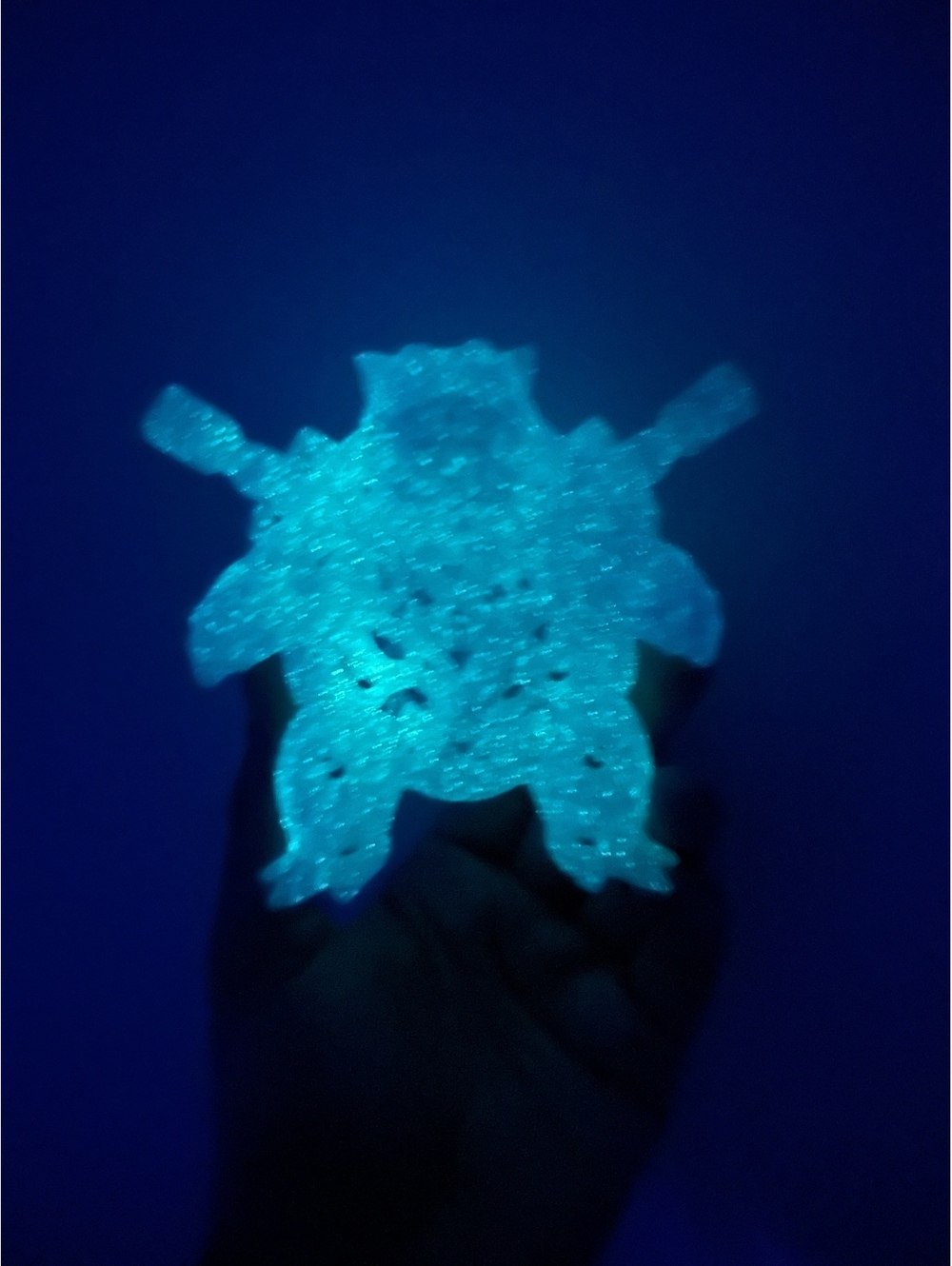 Pokemon Blastoise Glow in dark 3D Print